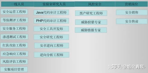 網(wǎng)絡(luò)安全與軟件開發(fā) 未來十年的黃金賽道與歷史鏡鑒